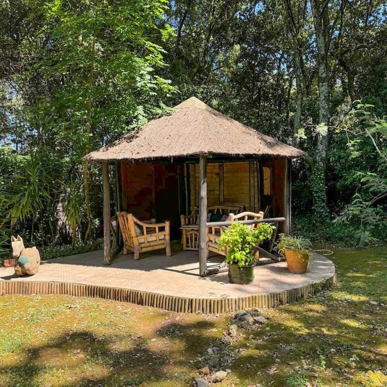 Superbe villa de 5 suites, climatisation, piscine, tennis, hauteurs de St Paul - Villa - 75