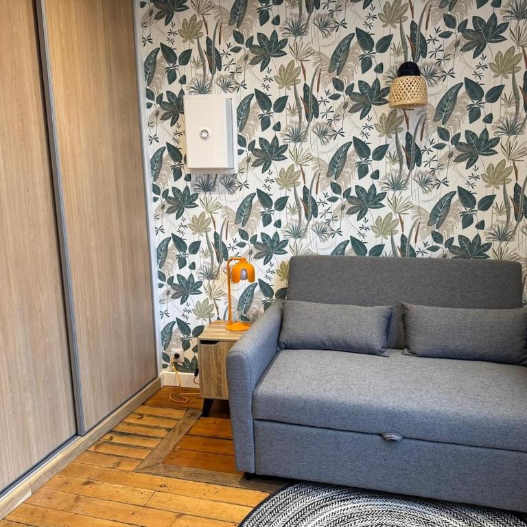 Charmant T2 vue sur la cathédrale d'Amiens - Appartement 1 Chambre - 1