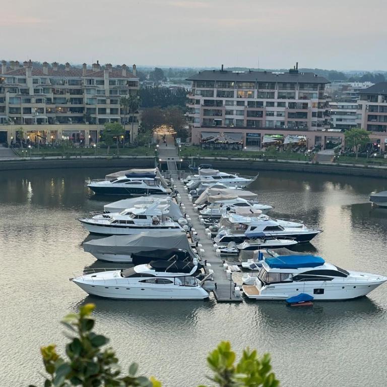 ALOJAMIENTOS BAHIA NORDELTA Tigre - Estudio con vistas al jardín - 9