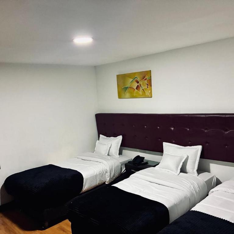 Nova Hotel Bogota - Large Single Room - 4