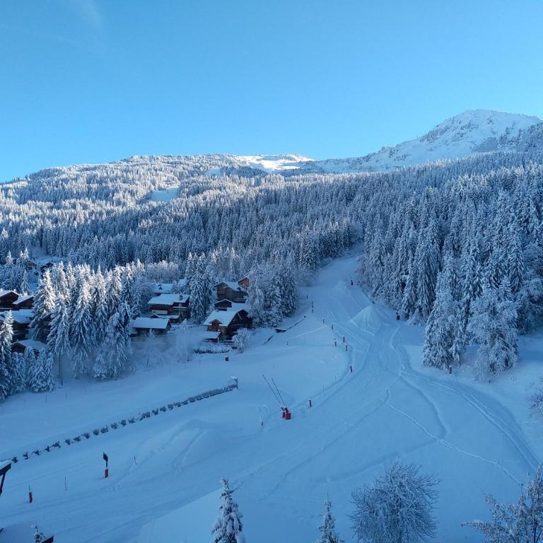 Résidence Saboïa A Courchevel Sauna - Apartment mit 1 Schlafzimmer - 6