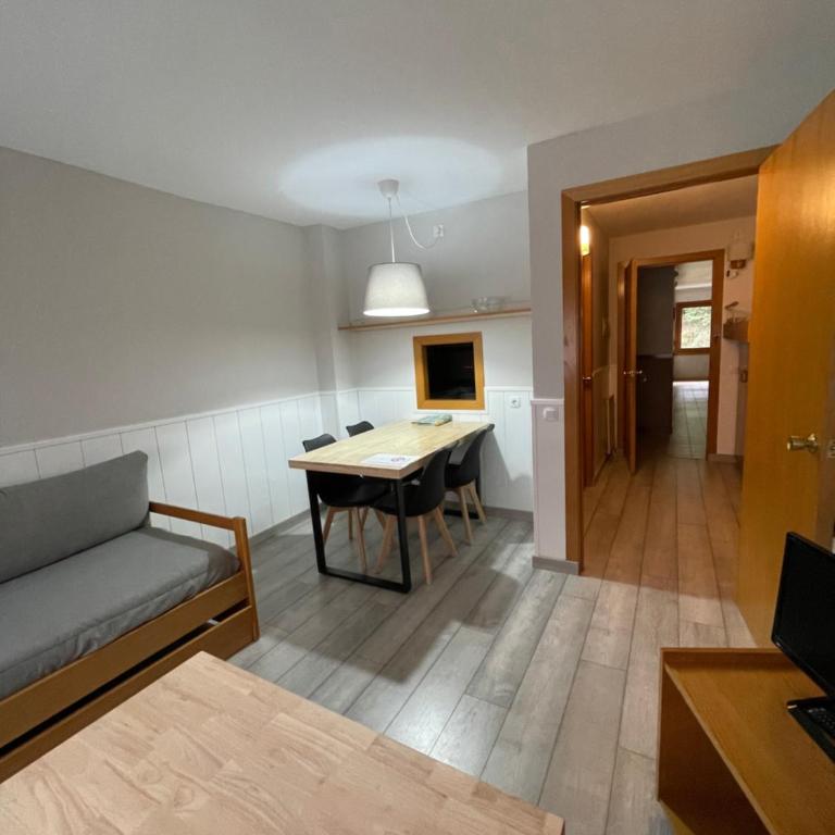 Apartamento Baqueira Beret Solneu - Apartamento de 1 dormitorio - 3