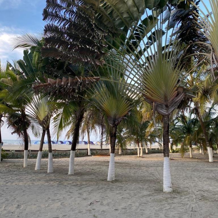 Apartamento con salida privada a la playa en Morros, Cartagena - One-Bedroom Apartment - 32
