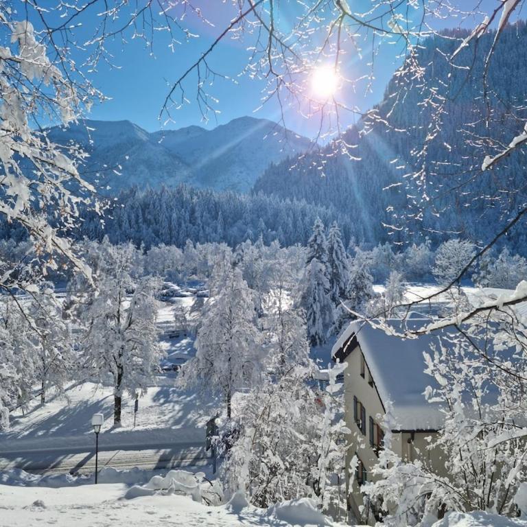 Alpenwohnung "Zum Schorschi" mit Bergblick I voll ausgestattet I ruhige Lage - Apartment mit 2 Schlafzimmern - 12
