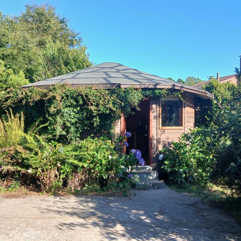 Rústico Punucapa - Chalet - 3