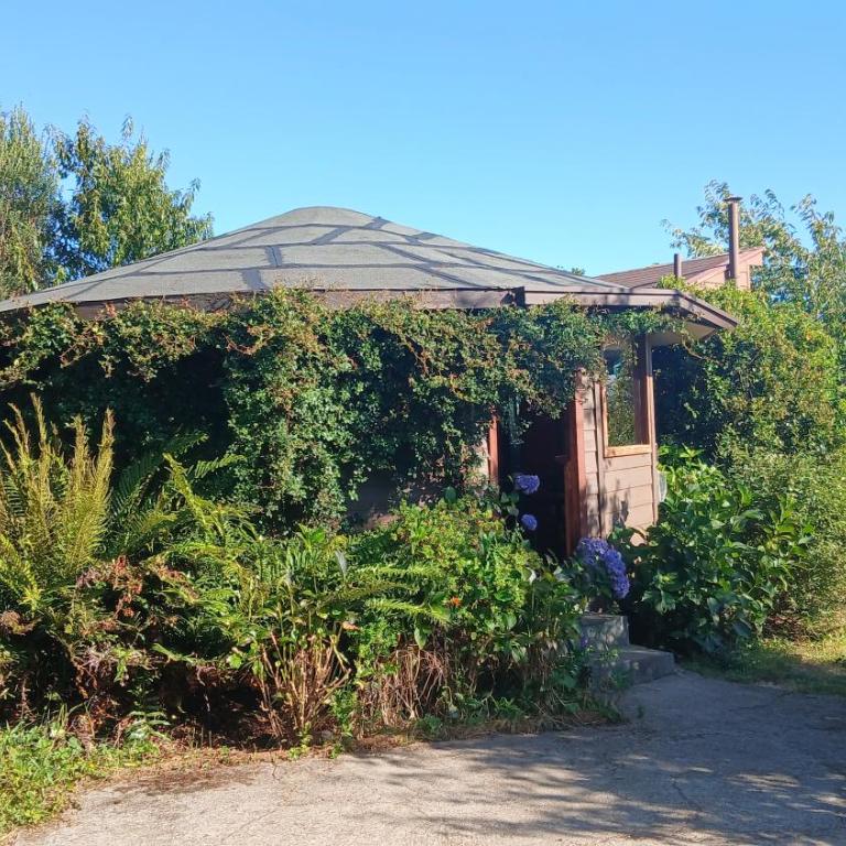 Rústico Punucapa - Chalet - 4