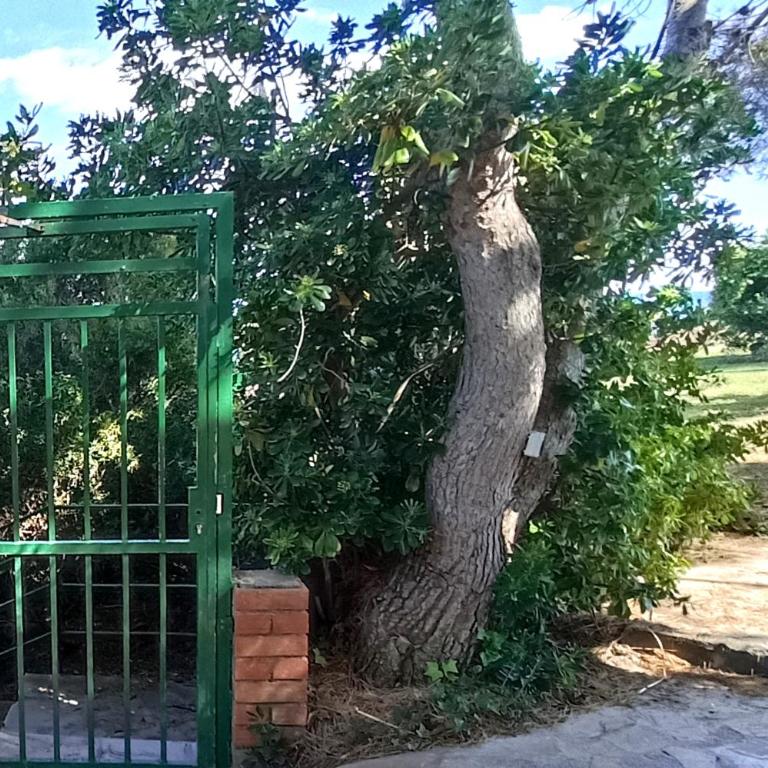 Panorama 4 - Apartamento de 2 dormitorios - 40