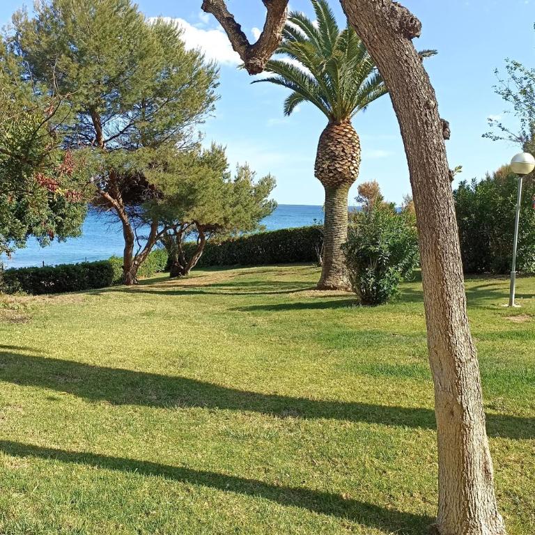 Panorama 4 - Apartamento de 2 dormitorios - 29