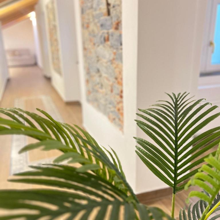 R&V Apartments - Nel cuore di La Spezia - One-Bedroom Apartment - 4
