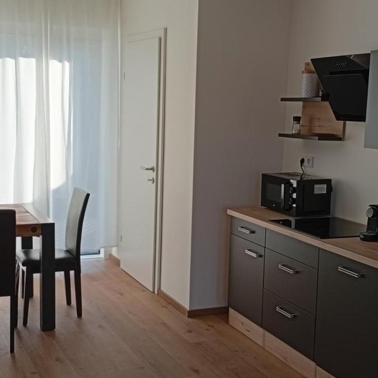 RIVERSIDE APARTMENTS Premium Living with great view - Apartment mit 2 Schlafzimmern und Flussblick - 1