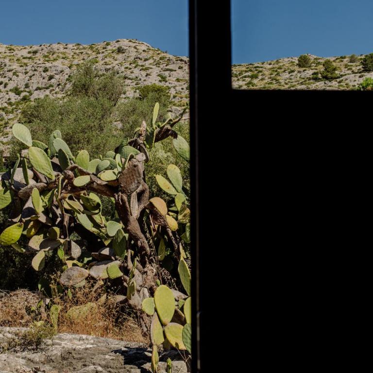 La Font - Villas Trias - Casa de 5 dormitorios - 80