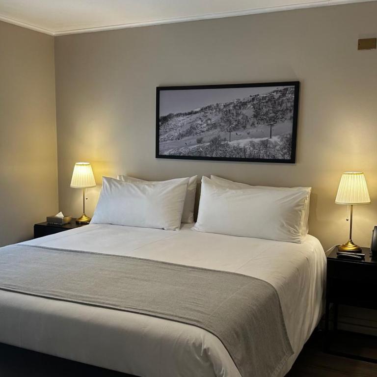 Hotel Nevados de Chillan - Standard Queen Room - 3