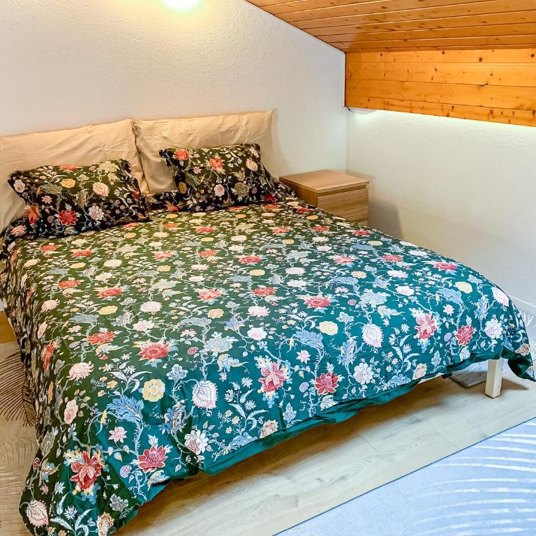 Duplex lumineux avec vue - Apartment mit Blick auf die Berge - 18