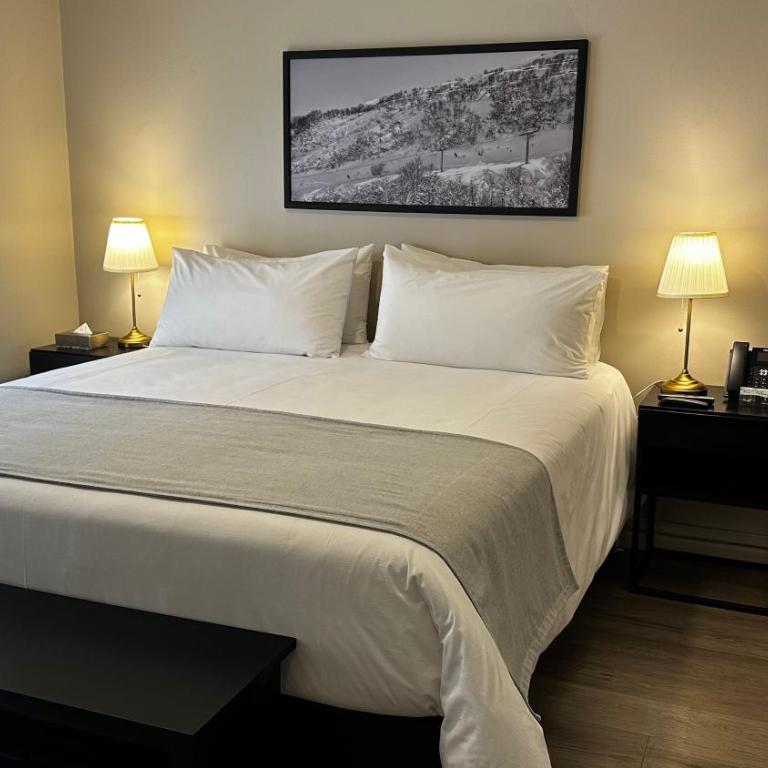 Hotel Nevados de Chillan - Standard Queen Room - 1