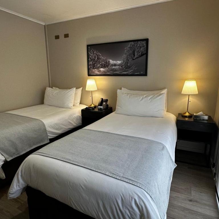 Hotel Nevados de Chillan - Standard Twin Room - 1