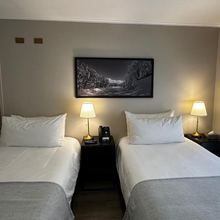 Hotel Nevados de Chillan - Standard Twin Room - 3