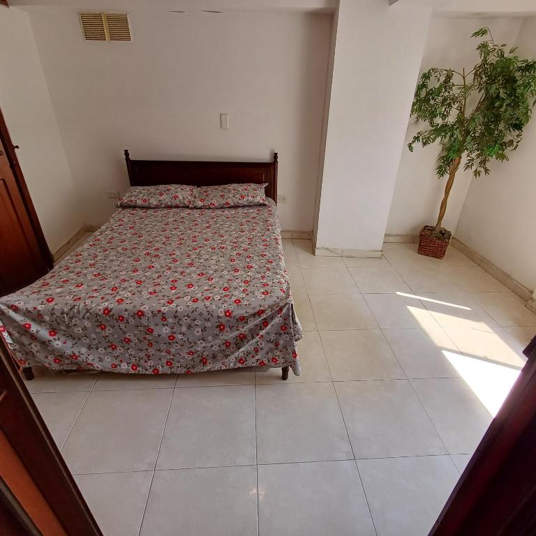 Quédate En El Punto Más Central De Manizales - Apartamento de 3 dormitorios - 23