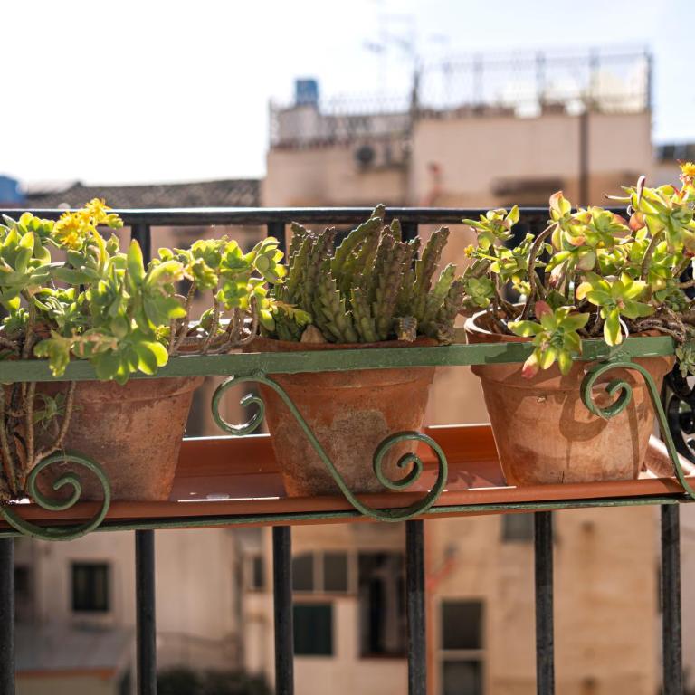 Casa Botanica Apartment - Appartamento con 3 Camere da Letto - 9