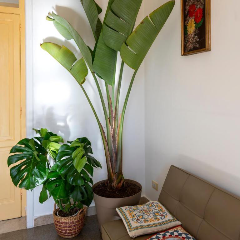 Casa Botanica Apartment - Appartamento con 3 Camere da Letto - 41