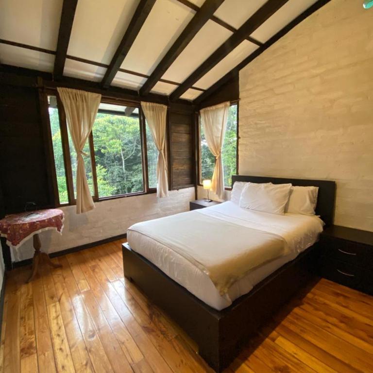 Wakani Mindo - Three-Bedroom House - 6