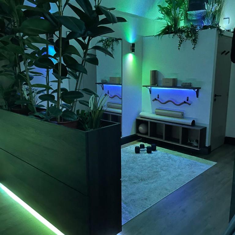 Loft architecte exceptionnel avec mini piscine design - Appartement 1 Chambre - 30