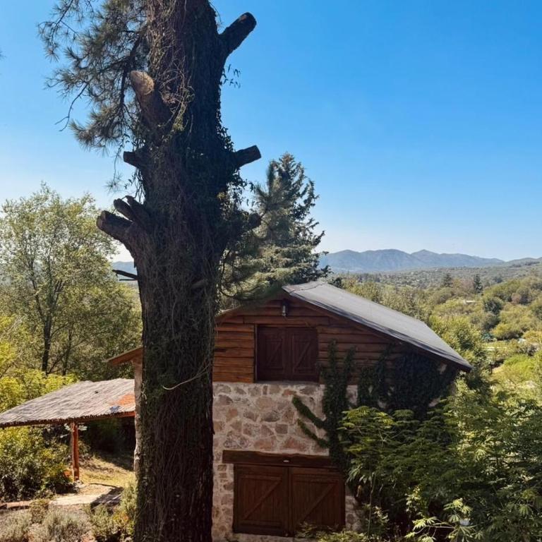 Stone Cabin, PETRA HAUS - Casa de 2 dormitorios - 5