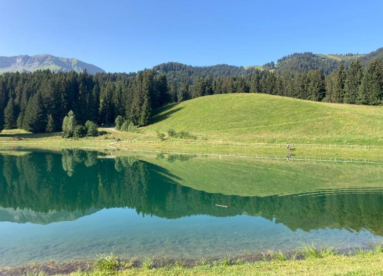 Megève 105 m2 ensoleillé rénové au pied des pistes - Appartamento con 3 Camere da Letto e Vista Montagna - 37