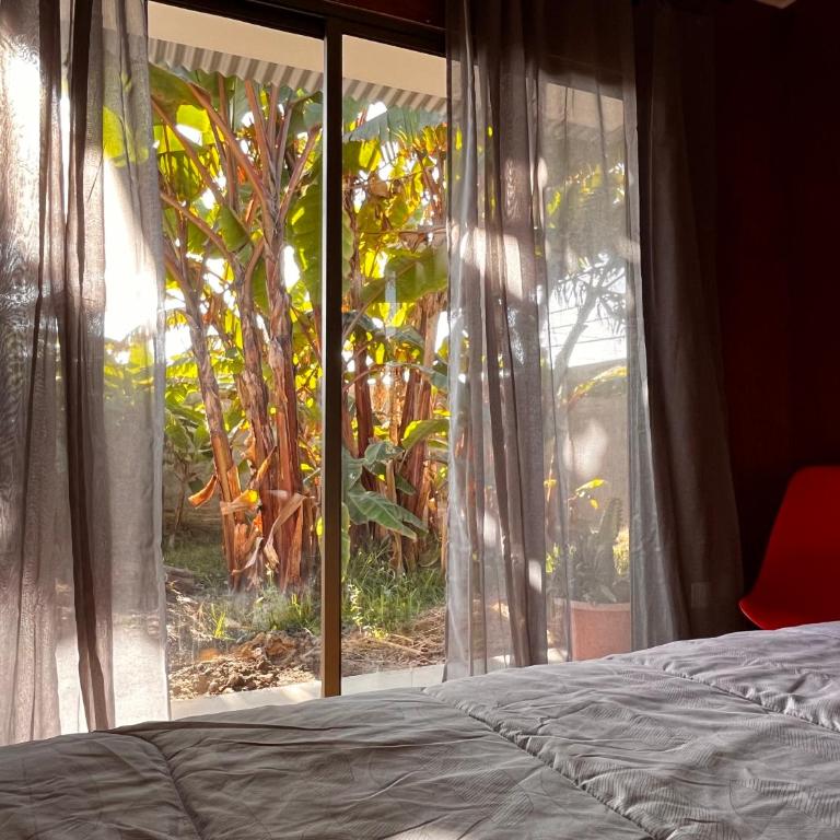 Cabaña Yan-Yan, refugio natural en valle de Azapa - Arica - Two-Bedroom Bungalow - 3