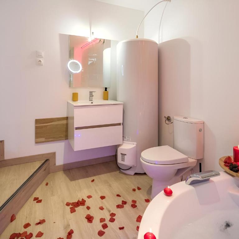 Balnéo hyper centre, Calme, Equipé, Proche gare, Wifi - One-Bedroom Apartment with Spa Bath - 17