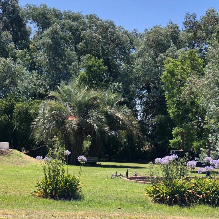 Casa Quinta EL CAMPO Zarate - Casa de 2 dormitorios - 27