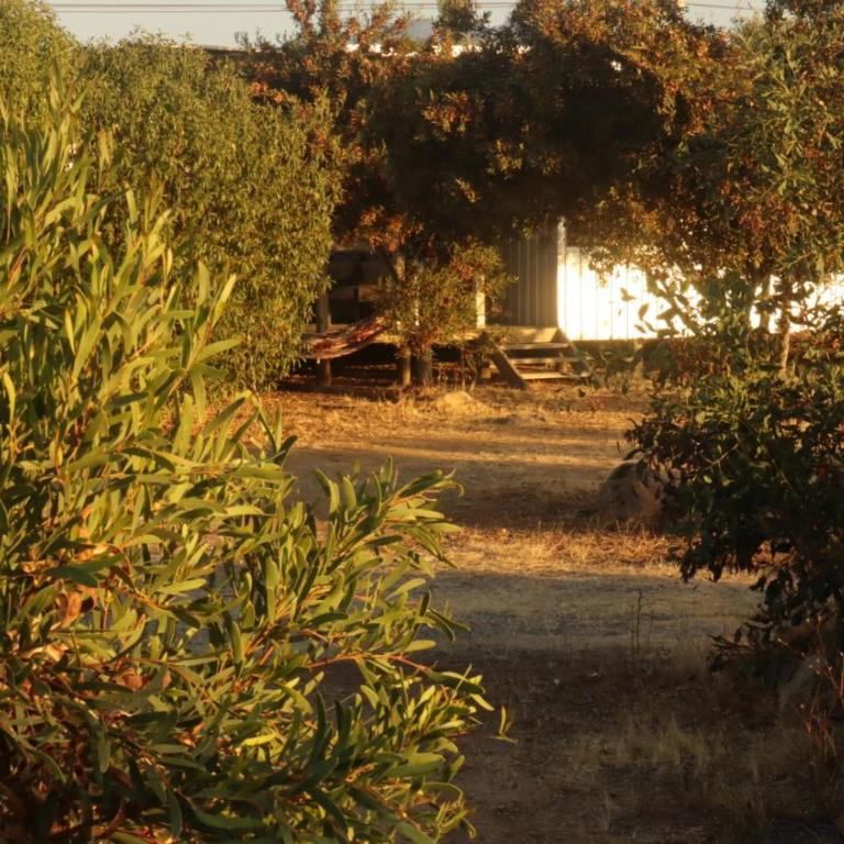 Cabañas Guanaqueros Arriendo Diario - Two-Bedroom House - 7