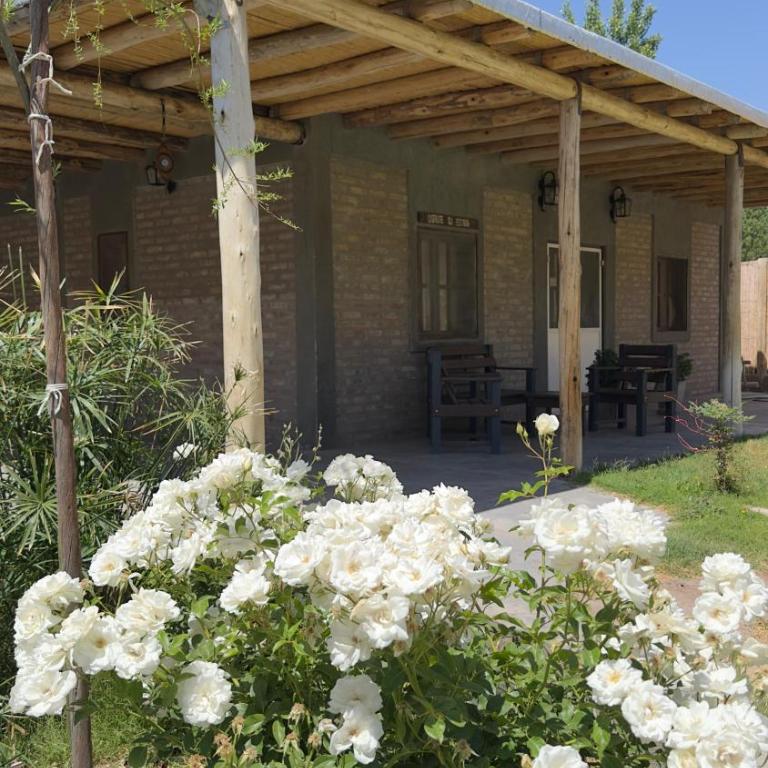 Complejo Rosa de los Vientos - Casa de 2 dormitorios - 4