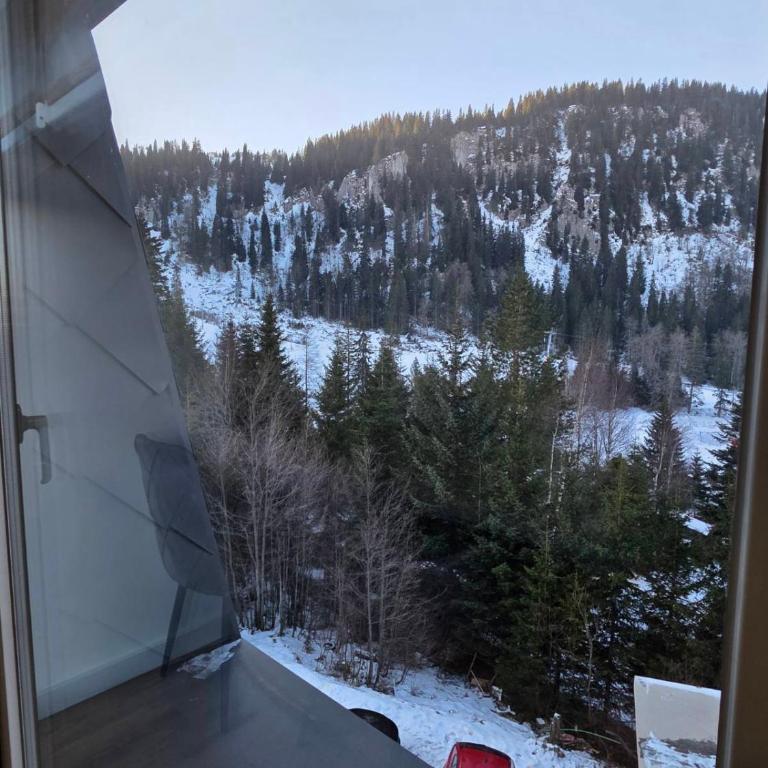 Versus Jahorina - One-Bedroom Apartment with View - 10