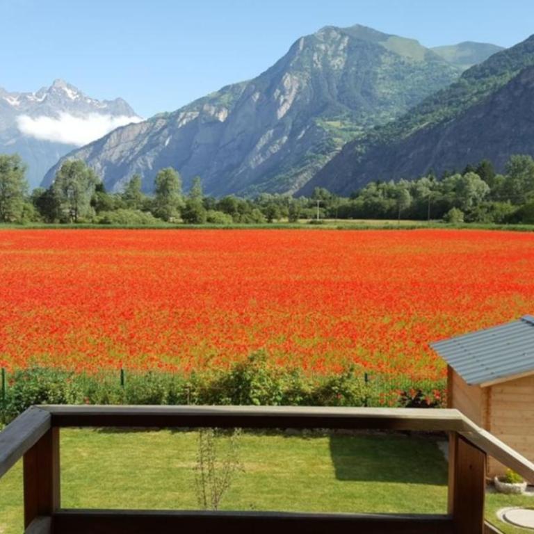 Logement cosy au coeur de l'Oisans - Appartement 1 Chambre - 11