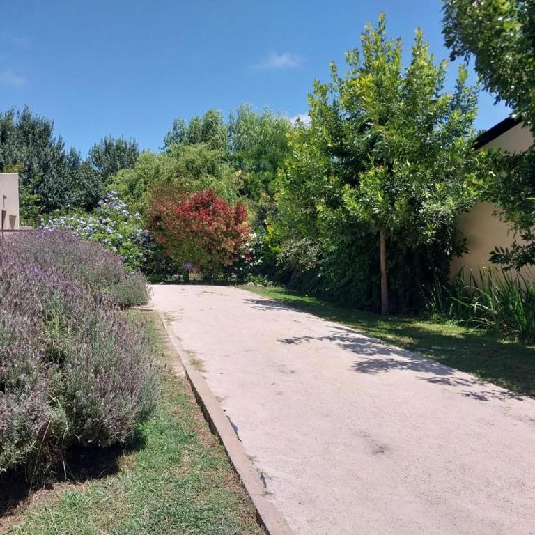 CASA EN ALQUILER-Los Acantilados-MAR DEL PLATA - Casa de 2 dormitorios - 5