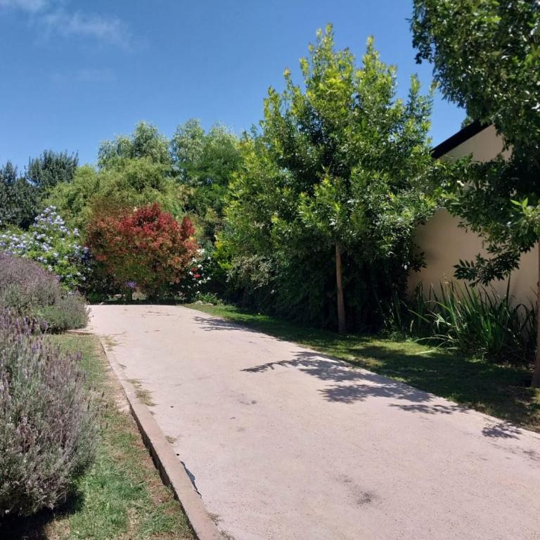 CASA EN ALQUILER-Los Acantilados-MAR DEL PLATA - Casa de 2 dormitorios - 13