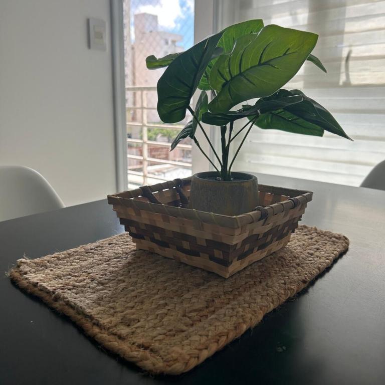 Departamento céntrico ciudad de Santa Fe con Cochera - Apartamento de 1 dormitorio - 10