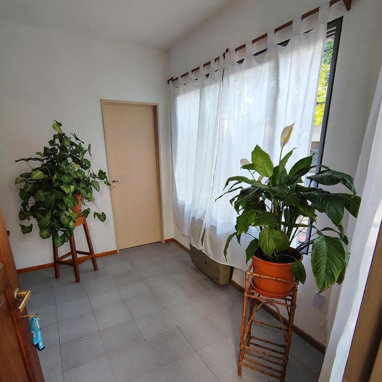 The Palm HouseBoutique apartment - Apartamento de 1 dormitorio - 21