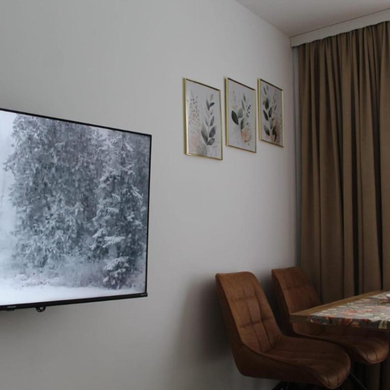 Winter Tale - One-Bedroom Apartment - 1
