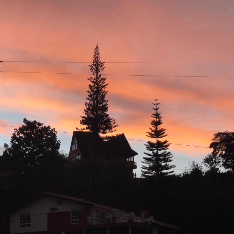 Hermosa Cabaña Campestre lago Calima - Two-Bedroom House - 20