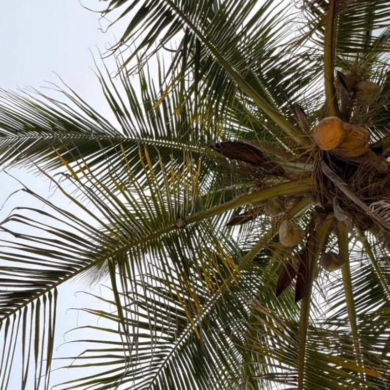 Aira Hotel - Deluxe Apartment - 3