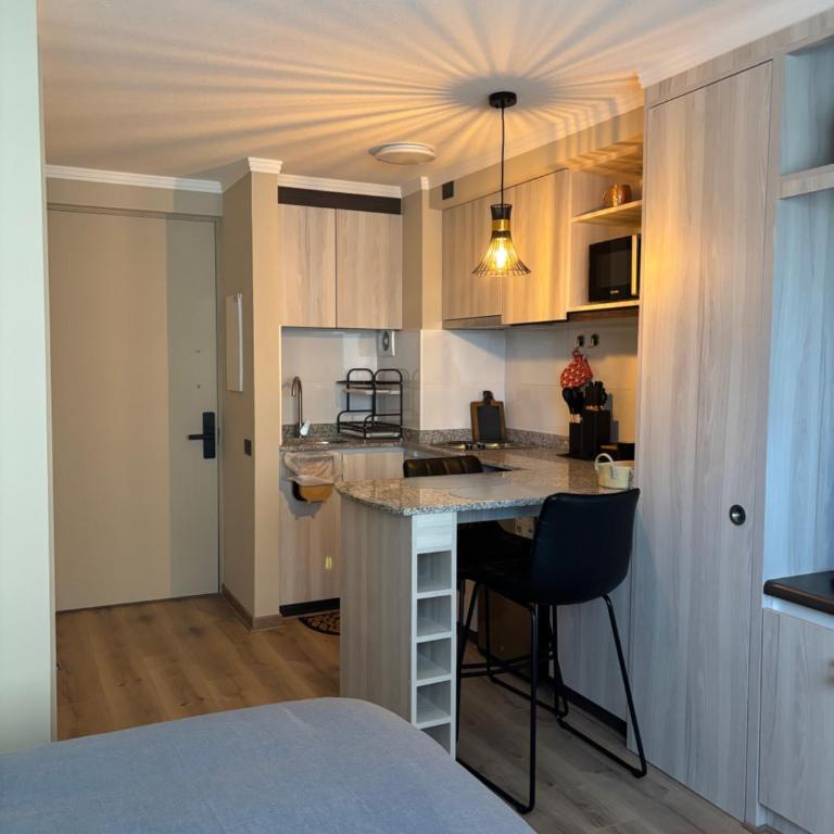 Departamento estudio - One-Bedroom Apartment - 7