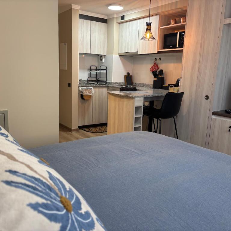 Departamento estudio - One-Bedroom Apartment - 13