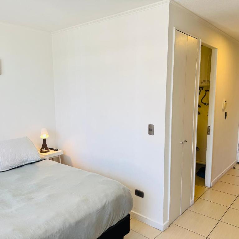 Santiago Central Studio - One-Bedroom Apartment - 5