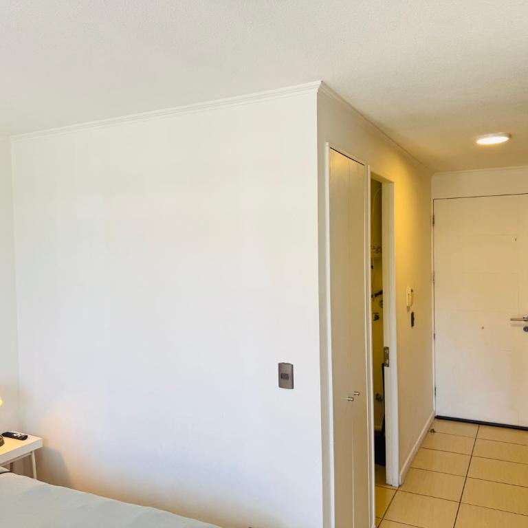 Santiago Central Studio - One-Bedroom Apartment - 6