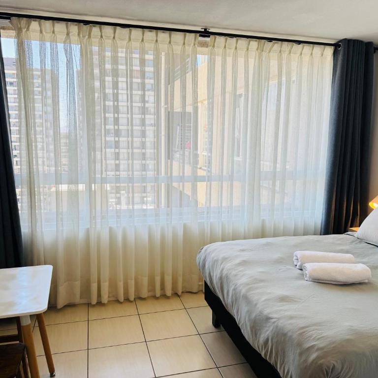 Santiago Central Studio - One-Bedroom Apartment - 4