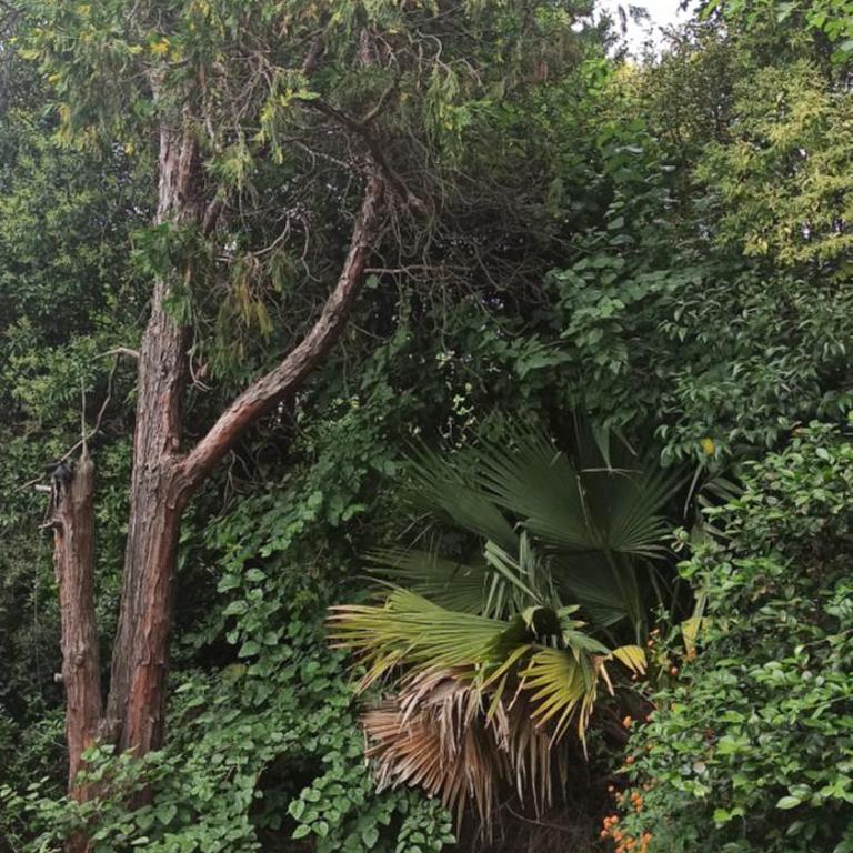 El buho - Casa de 2 dormitorios - 11