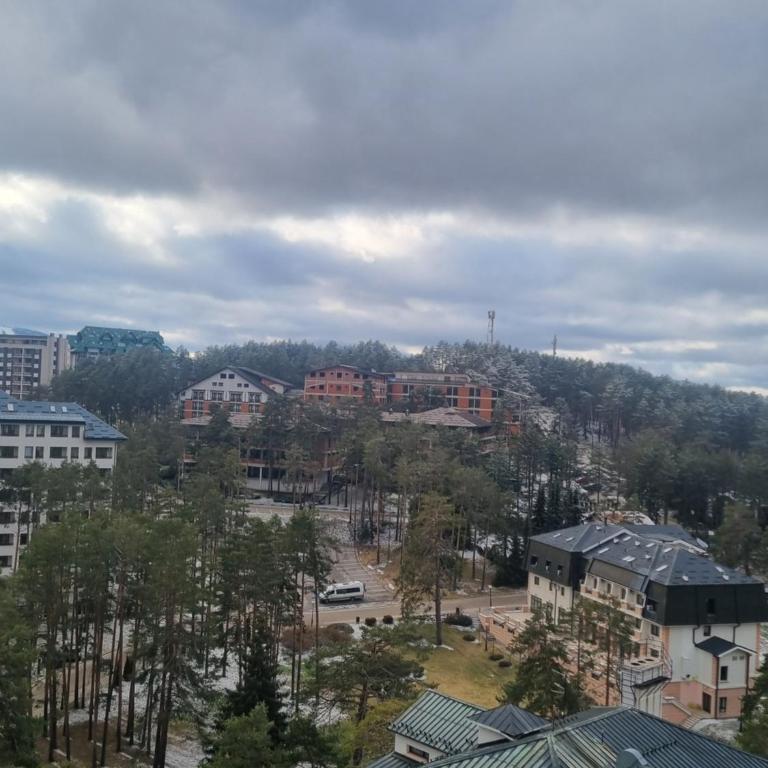 Royal Garden Luxury Spa Apartment with Sauna and Jacuzzi - Apartman sa 2 Spavaće Sobe - 25