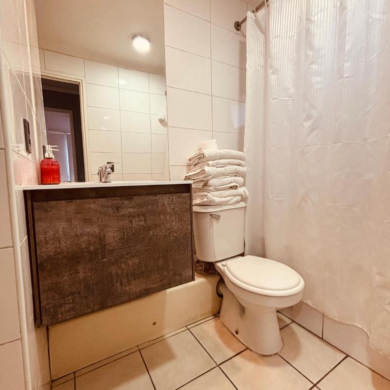 Deptos En Centro De Santiago - Two-Bedroom Apartment - 13