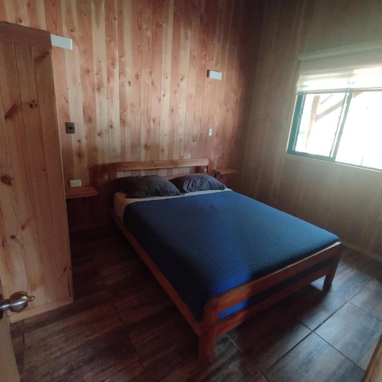 Cabañas licanray - One-Bedroom House - 6